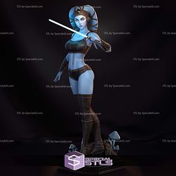 Aayla Secura Blue 3D Printer Files