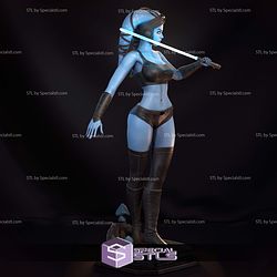 Aayla Secura Blue 3D Printer Files
