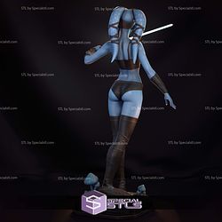 Aayla Secura Blue 3D Printer Files