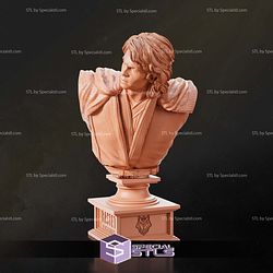 Anakin Skywalker Bust 116 mm 3D Printer Files