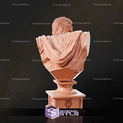 Anakin Skywalker Bust 116 mm 3D Printer Files