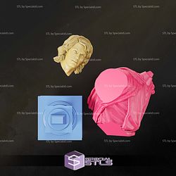Anakin Skywalker Bust 116 mm 3D Printer Files