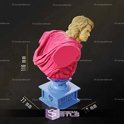 Anakin Skywalker Bust 116 mm 3D Printer Files