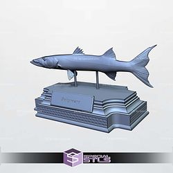 Barracuda Sphyraena Display 3D Printer Files