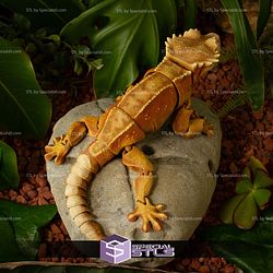 Basic STL Collection Articulated Crested Gecko