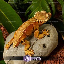 Basic STL Collection Articulated Crested Gecko
