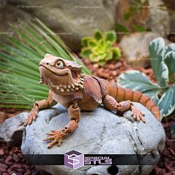 Basic STL Collection Articulated Bearded Dragon