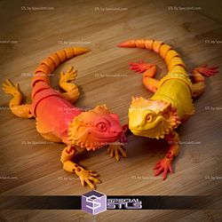 Basic STL Collection Articulated Bearded Dragon