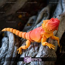 Basic STL Collection Articulated Bearded Dragon