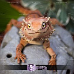 Basic STL Collection Articulated Bearded Dragon