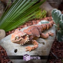 Basic STL Collection Articulated Bearded Dragon