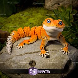 Basic STL Collection Articulated Leopard Gecko