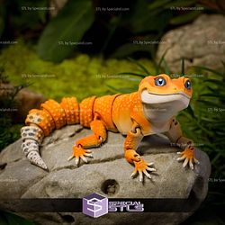Basic STL Collection Articulated Leopard Gecko