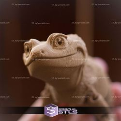 Basic STL Collection Articulated Leopard Gecko