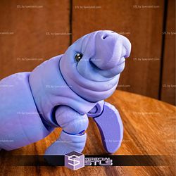 Basic STL Collection Articulated Manatee