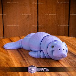 Basic STL Collection Articulated Manatee