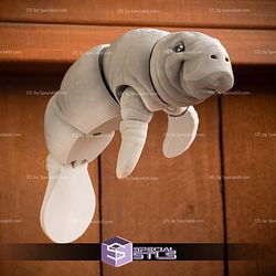 Basic STL Collection Articulated Manatee