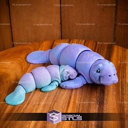 Basic STL Collection Articulated Manatee