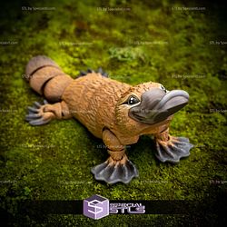 Basic STL Collection Articulated Platypus