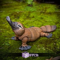 Basic STL Collection Articulated Platypus