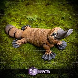 Basic STL Collection Articulated Platypus