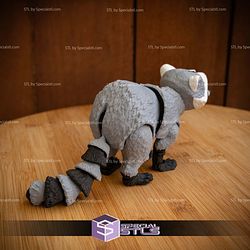 Basic STL Collection Articulated Raccoon