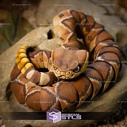 Basic STL Collection Articulated Rattlesnake