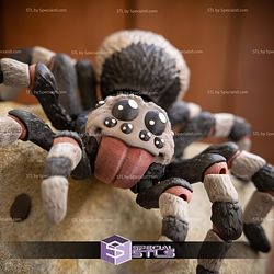 Basic STL Collection Articulated Tarantula