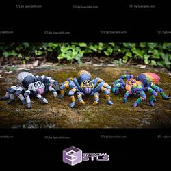 Basic STL Collection Articulated Tarantula