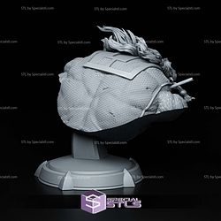 Battle Beast Invincible Bust 155mm 3D Printer Files