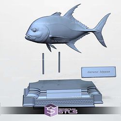 Caranx Display 3D Printer Files