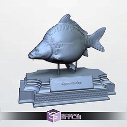 Carp Cyprinus Display 3D Printer Files