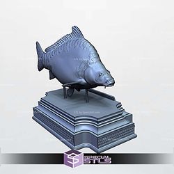 Carp Cyprinus Display 3D Printer Files