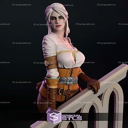 Ciri by Stair 3D Printer Files