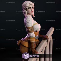 Ciri by Stair 3D Printer Files