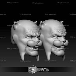 Custom Head STL Wildcat DC