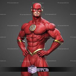 Flash Museum Pose 3D Printer Files