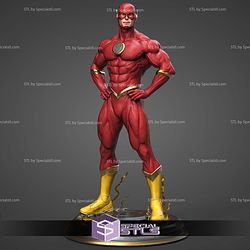 Flash Museum Pose 3D Printer Files
