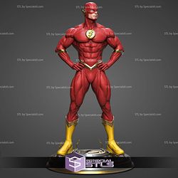 Flash Museum Pose 3D Printer Files