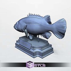 Groupers Display 3D Printer Files