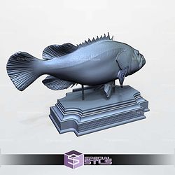 Groupers Display 3D Printer Files