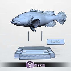 Groupers Display 3D Printer Files