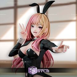 Marin Kitagawa Bunny Black Dress 3D Printer Files