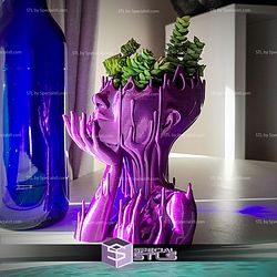 Melted girl Vase 3D Printer Files