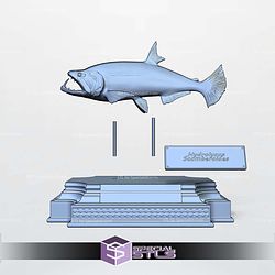 Payara Hydrolycus Display 3D Printer Files
