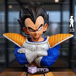 Prince Vegeta Saiyan 1-6 Look Pose 3D Printer Files