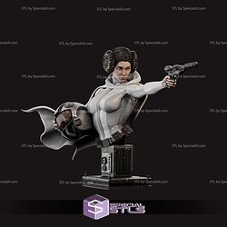 Princess Leia and Helmet Bust 3D Printer Files