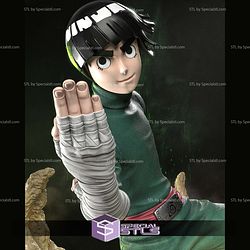 Rock Lee 250mm 3D Printer Files