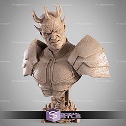Savage Opress Portrait Bust 3D Printer Files
