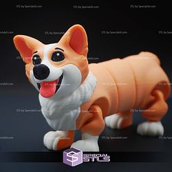 Super Basic STL Corgy Flexi